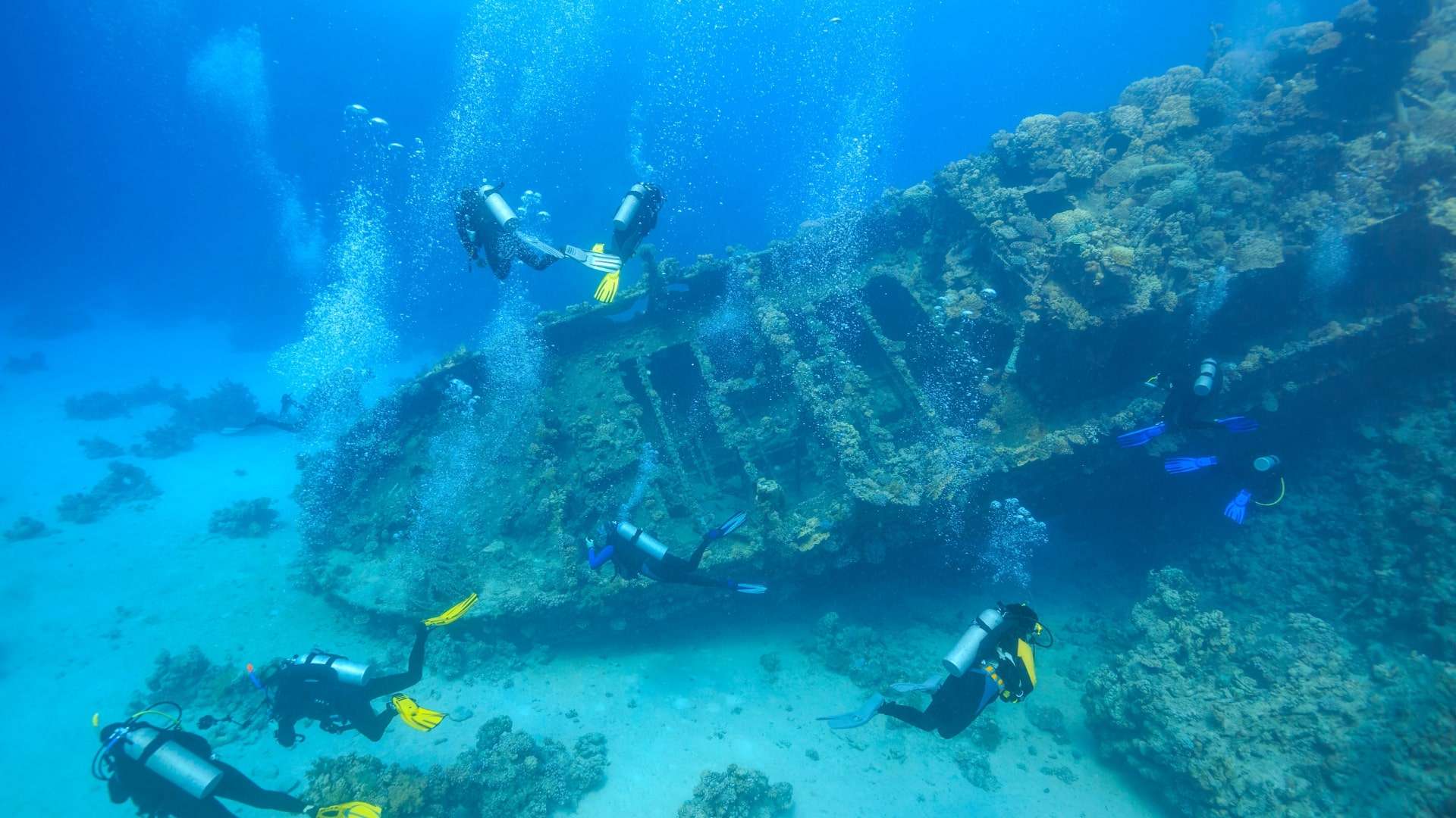 Morotai Wreck Dive Site di Morotai | Atourin