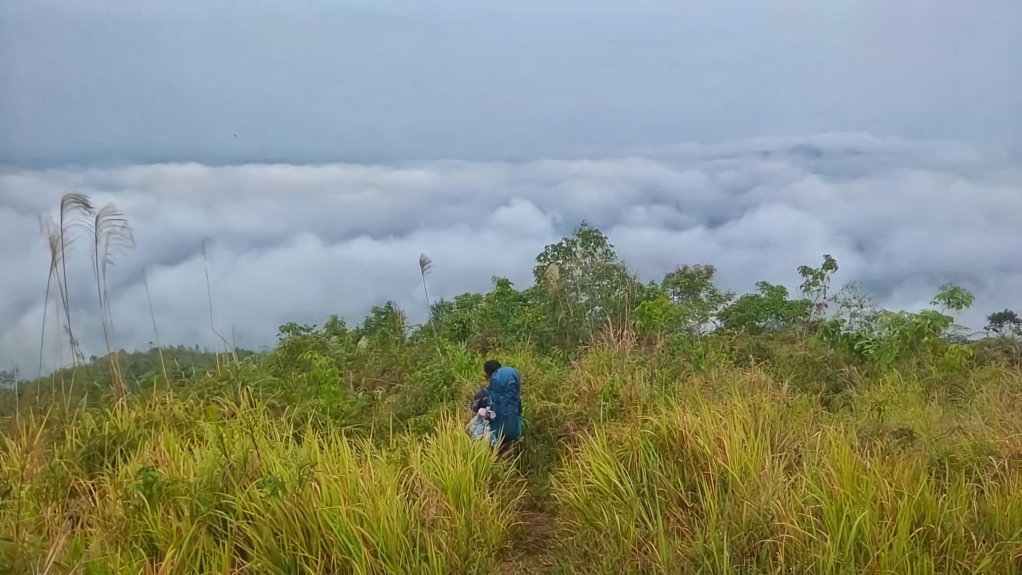 Bukit Burang di Sekadau | Atourin