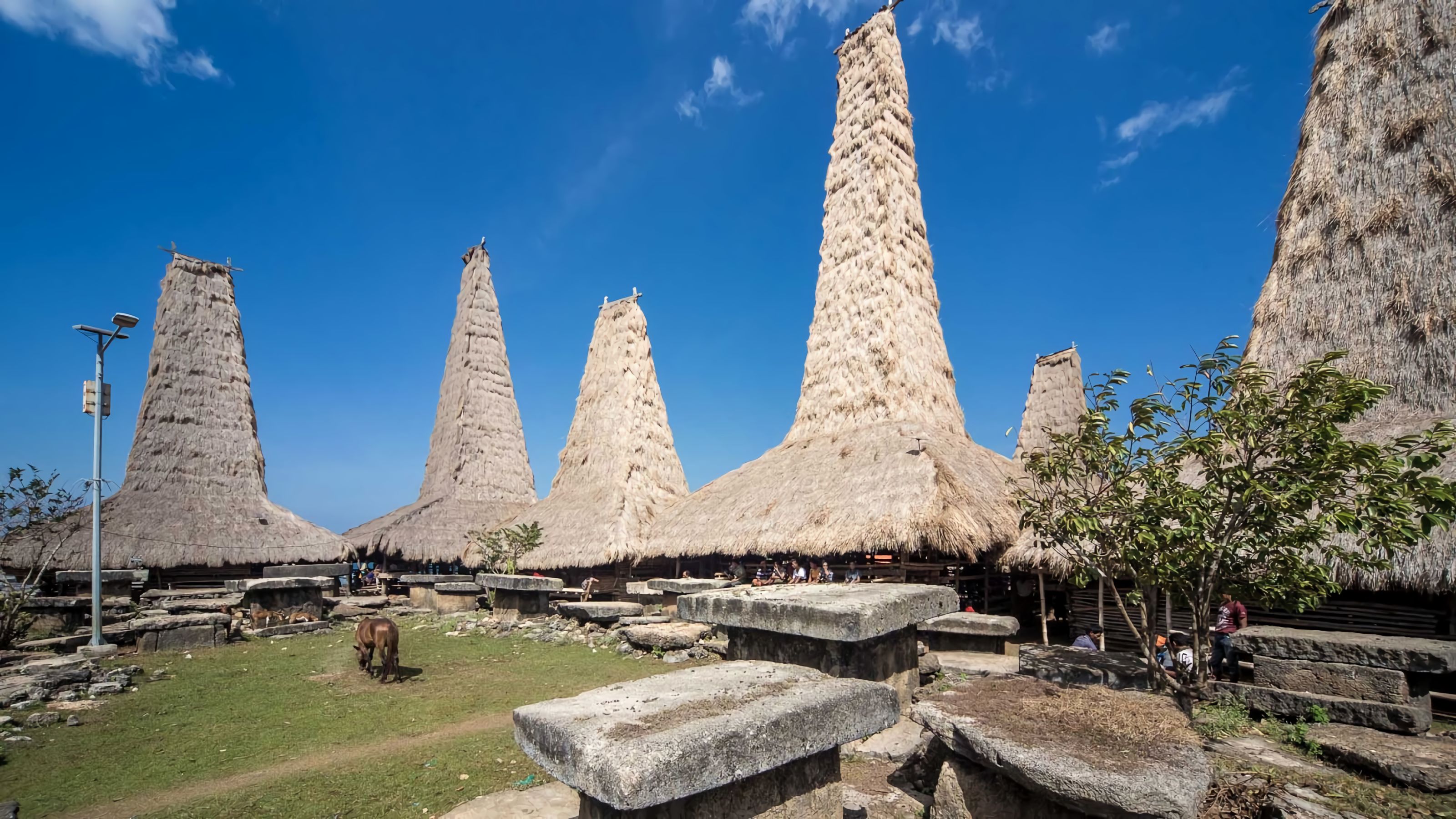 Kampung Raja Prailiu di Sumba | Atourin
