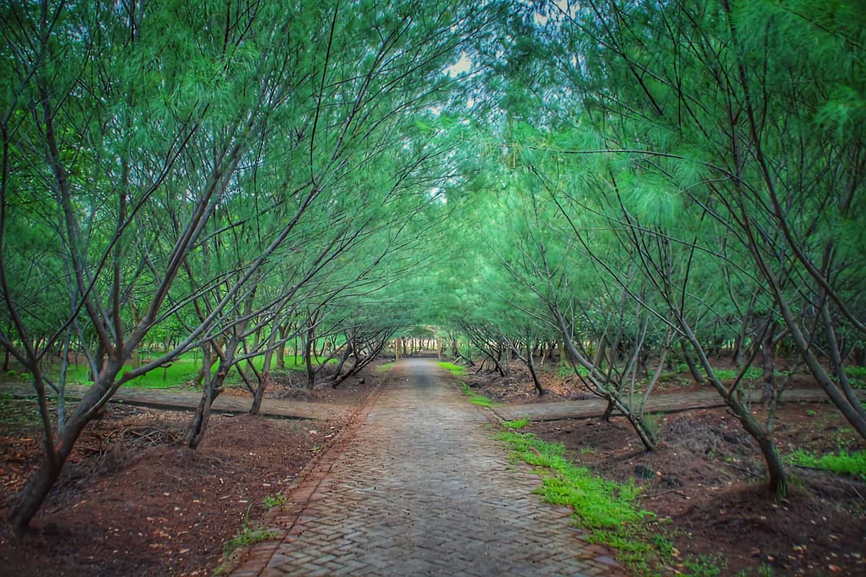 15 Tempat Healing di Surabaya Yang Perlu Kamu Coba 1 tempat healing di surabaya