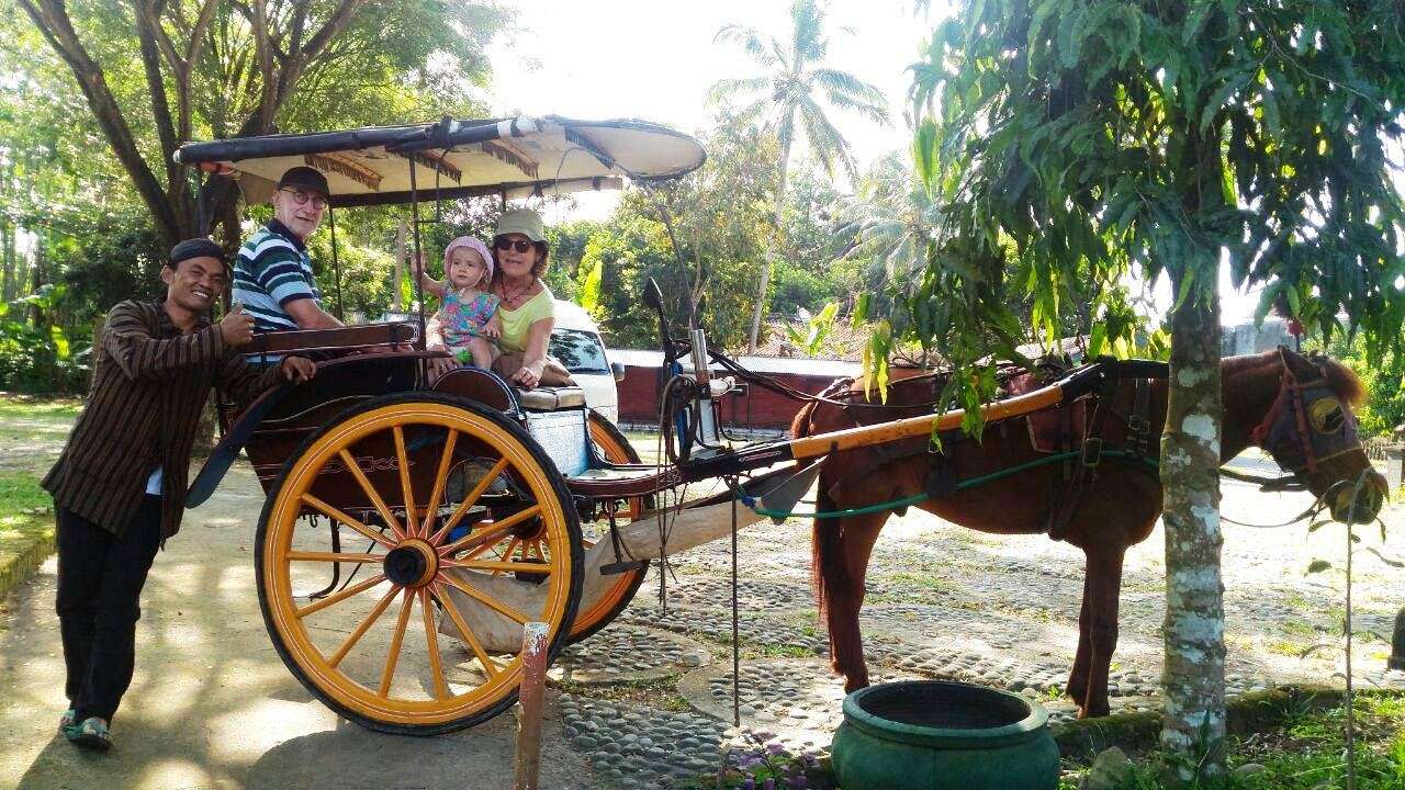 Dokar Village Tour + Lunch