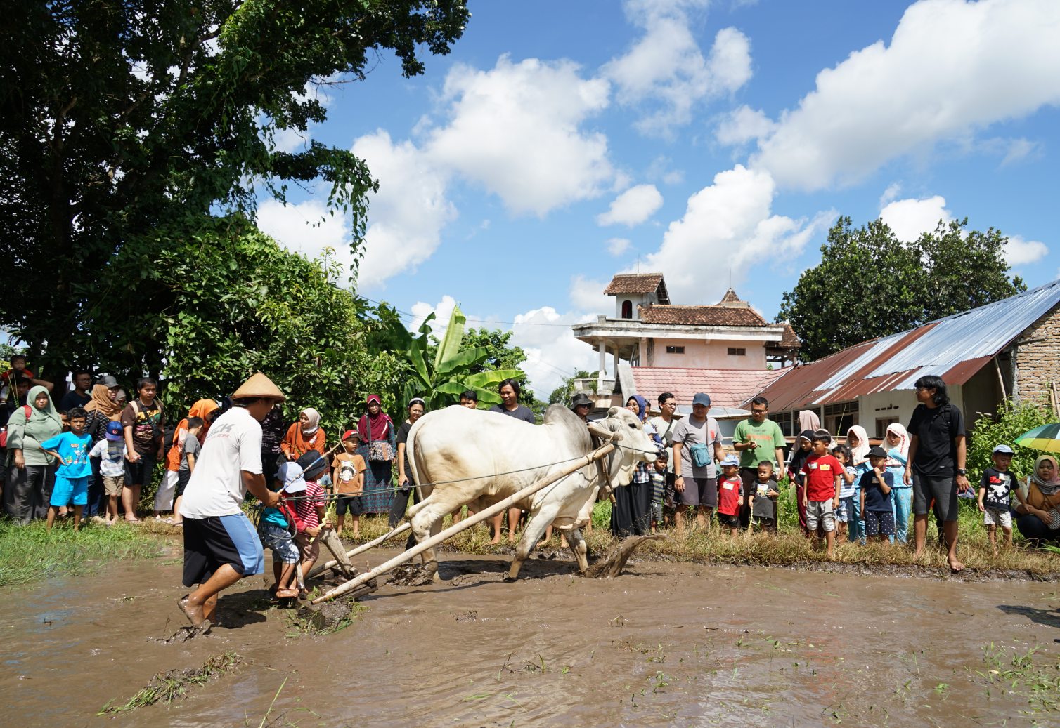 Dolan Desa Wisata - Edukasi Pertanian