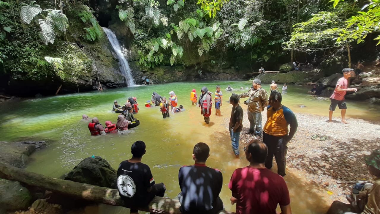 Karipikk Rimbang Seharian di Rimbang Baling | Atourin