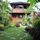Homestay Georium Dunia