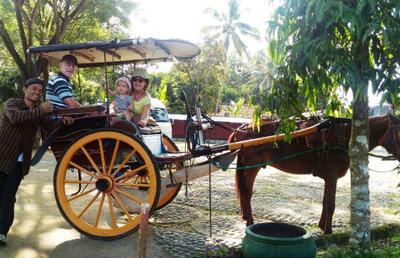 Dokar Village Tour + Lunch