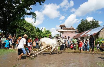 Dolan Desa Wisata - Edukasi Pertanian