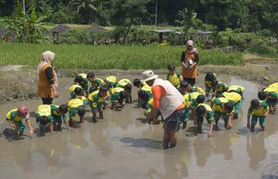 Edukasi Tanam Padi