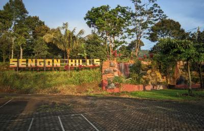 One Day Fun Farm Experience In Sengon Hill's