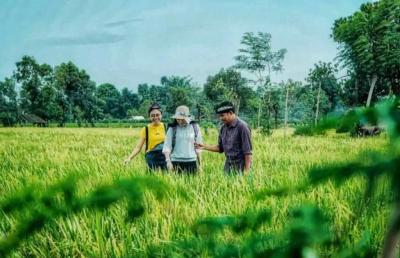 Comparative Study Tour (Full Day)
