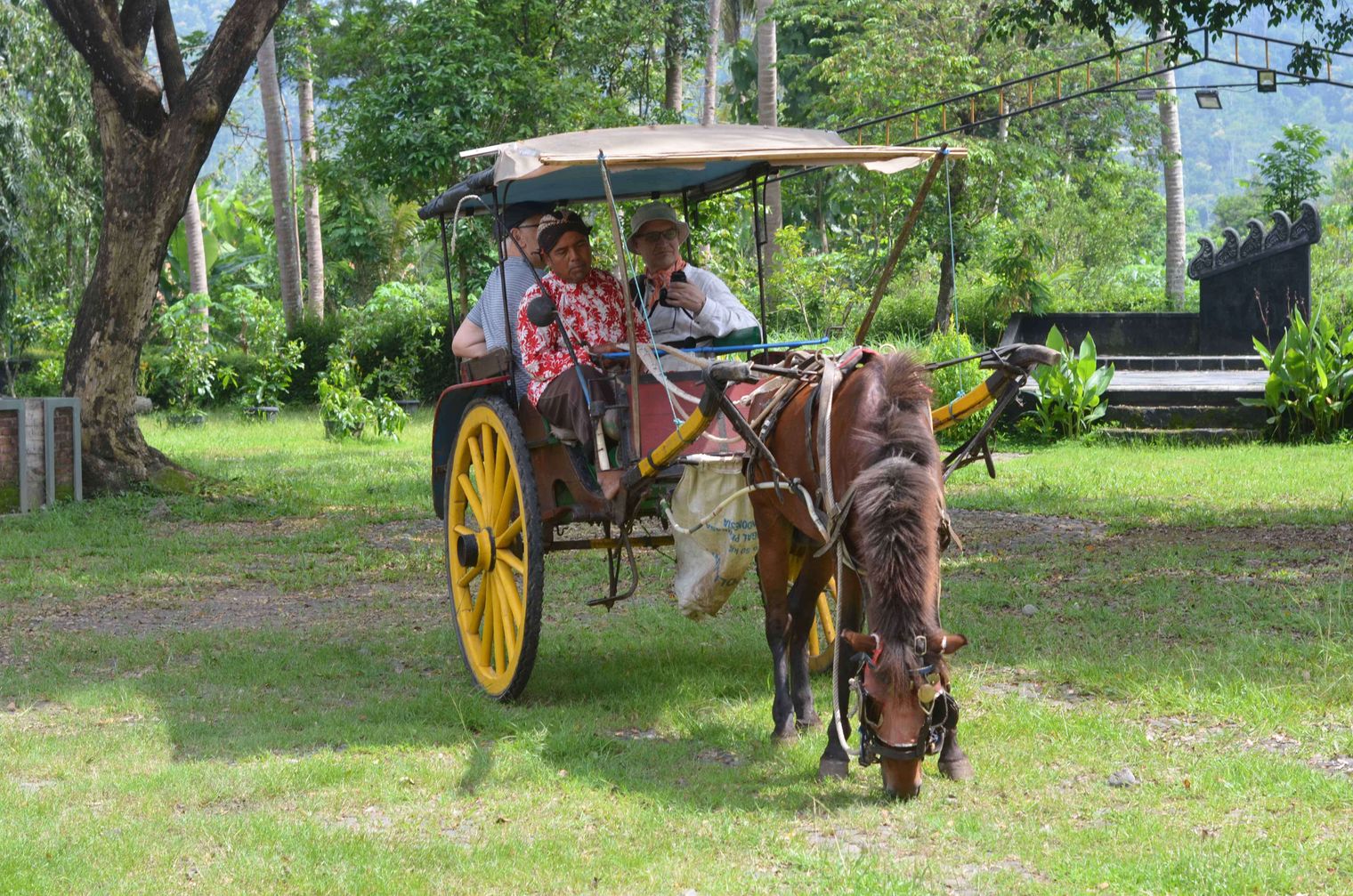 Village Experience