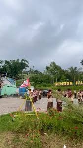 Nature & Dairy Camp Experience In Sengon Hill's - Galeri 1