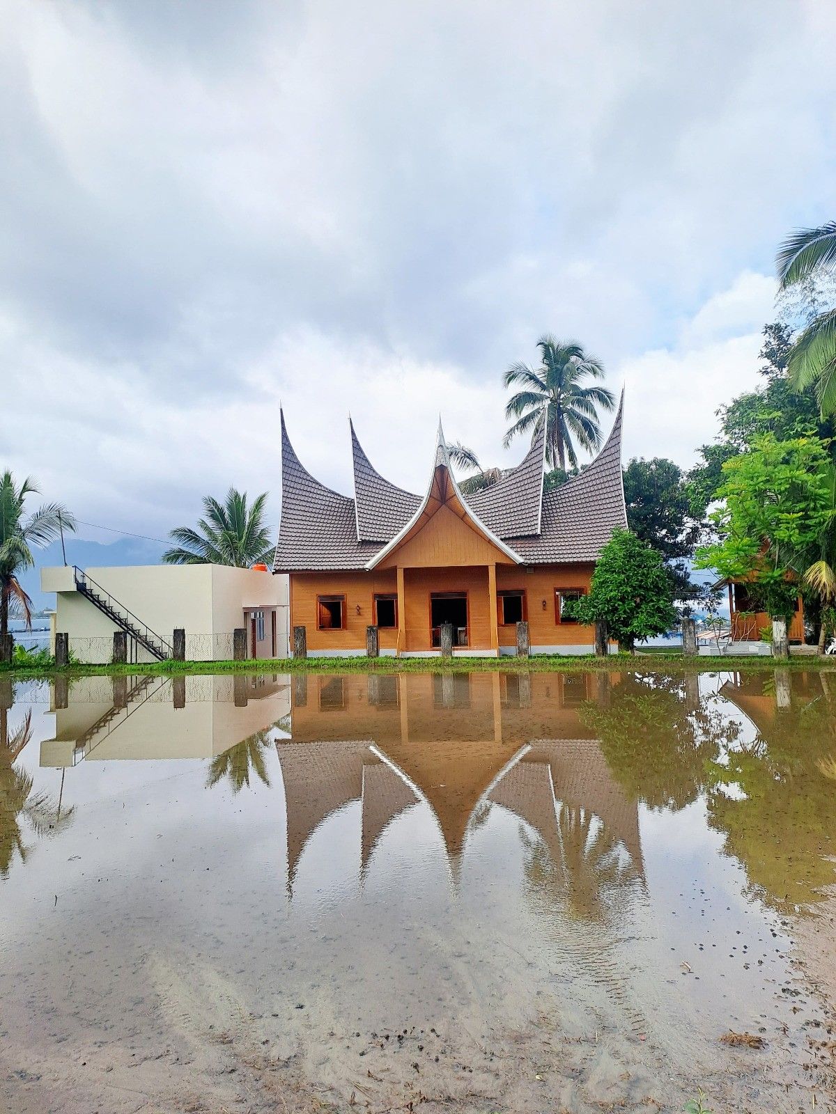 Menanam Padi di Sawah - Galeri 1