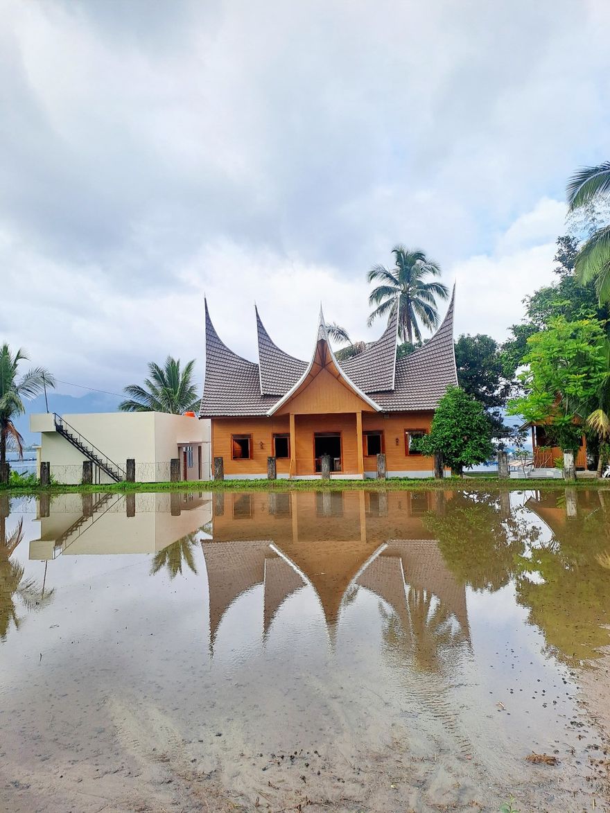 Menanam Padi di Sawah - Galeri 1