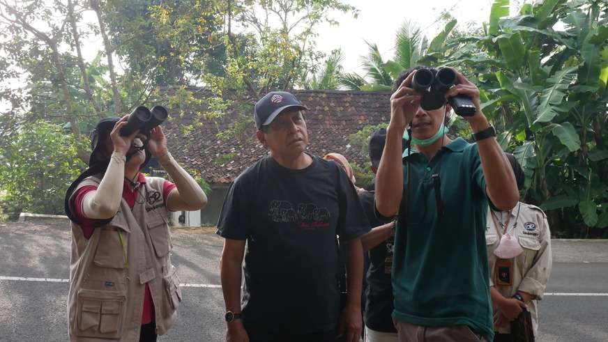 Bird Watching - Galeri 2