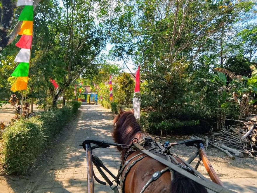 Dokar Village Tour + Lunch - Galeri 1