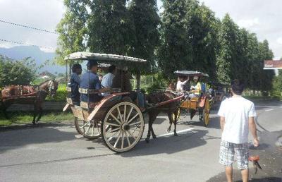 Dokar Village Tour + Lunch - foto lain 2