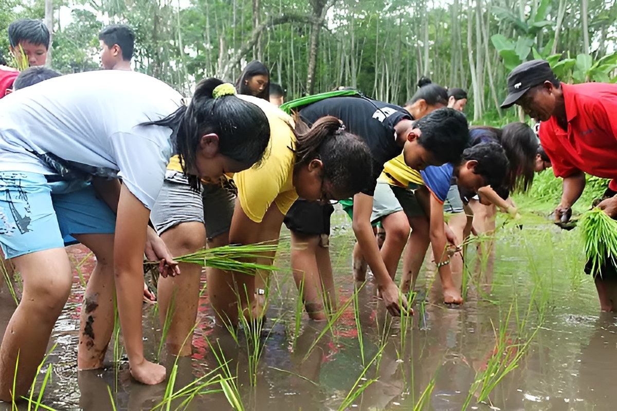Fieldtrip Desa Pentingsari - Galeri 1